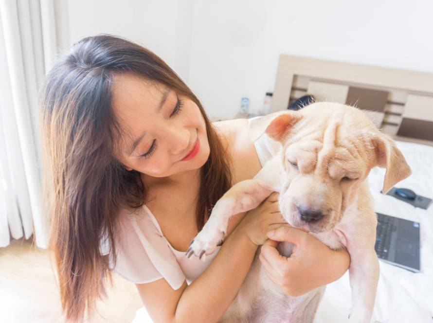 woman in white tank top hugging brown and white short coated dog